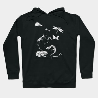 Cribbly Crawlers Hoodie